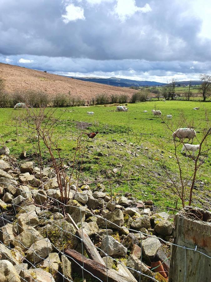Wales' Highest Village - The Chartist Cottage - Trefil Tredegar Экстерьер фото