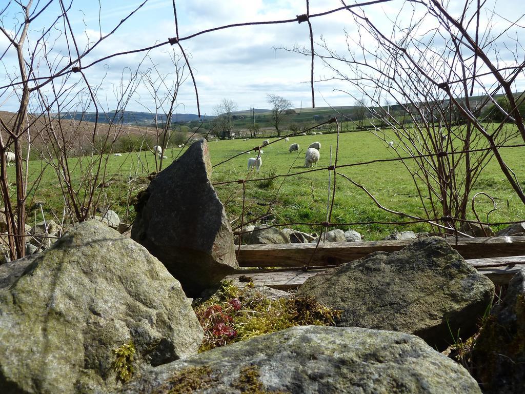 Wales' Highest Village - The Chartist Cottage - Trefil Tredegar Экстерьер фото